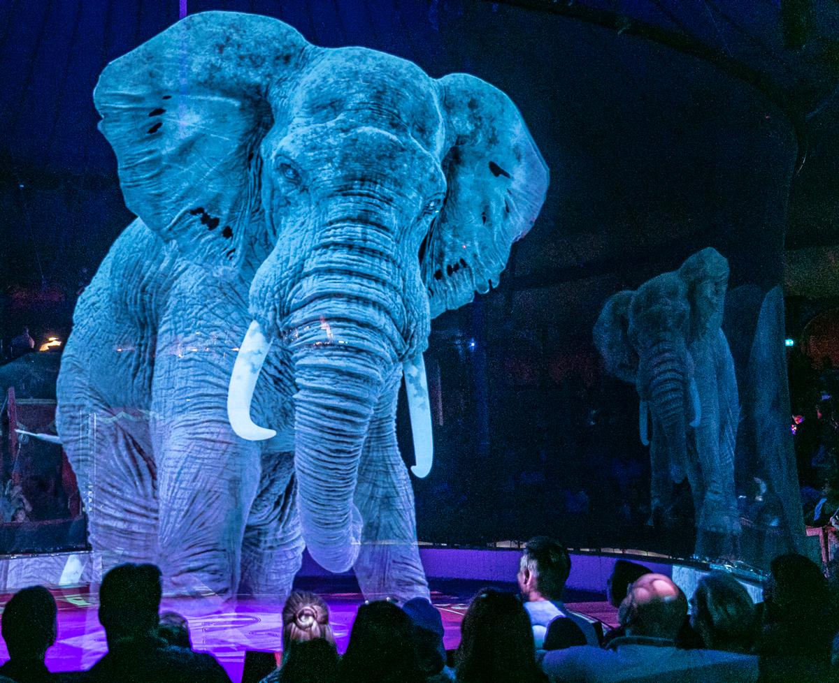 Holographic elephants perform a number of stunts in the show / Circus Roncalli Holographic elephants perform a number of stunts in the show / Circus Roncalli