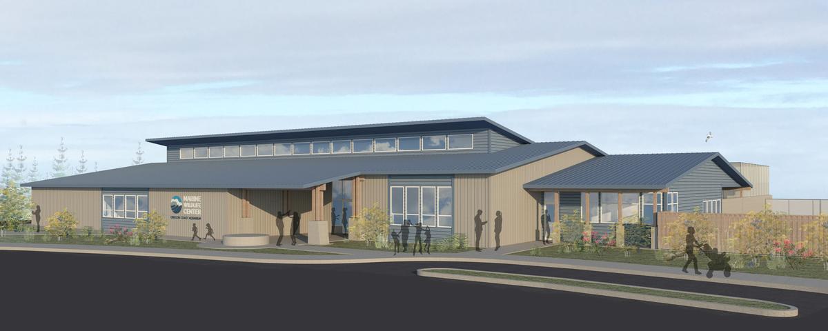 The current rehab centre is housed in a repurposed warehouse / Oregon Coast Aquarium