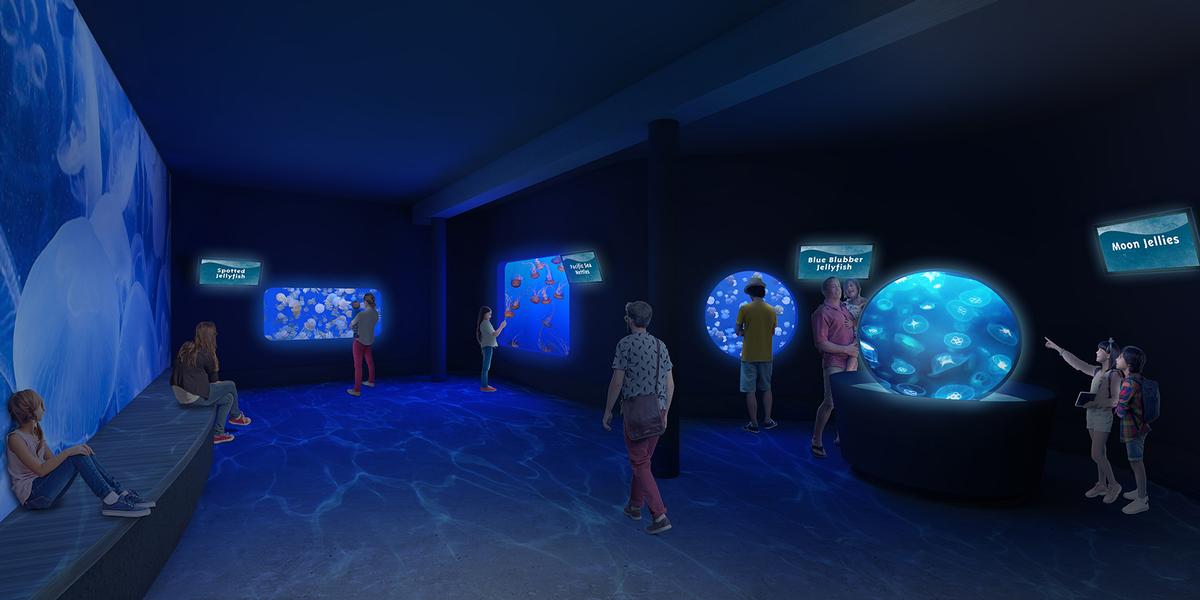The aquarium has had 15 million visitors through its doors since it opened in 1992 / Oregon Coast Aquarium
