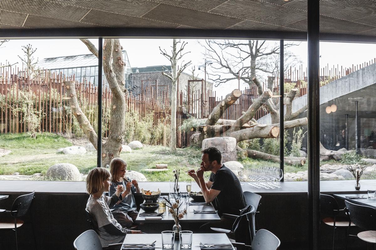 There is a restaurant on the lower level where visitors can look into the enclosure while eating / Bjarke Ingels Group