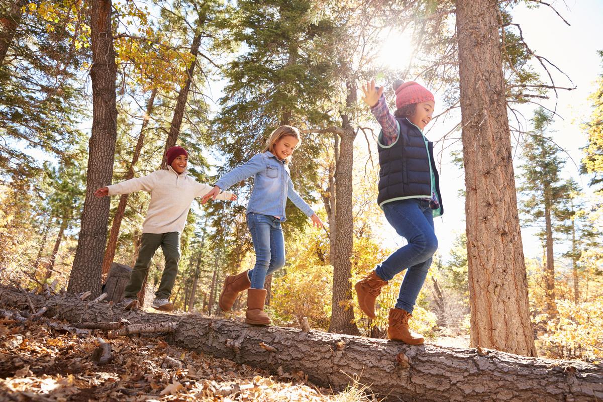 The research revealed that children’s wellbeing increased after they had spent time connecting with nature / Shutterstock
