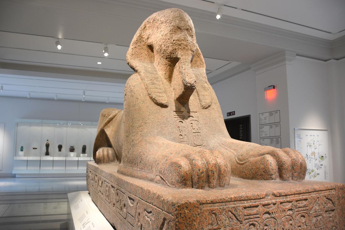 A Sphinx of Pharaoh Ramses II is on display in the Penn Museum's new entrance / Penn Museum