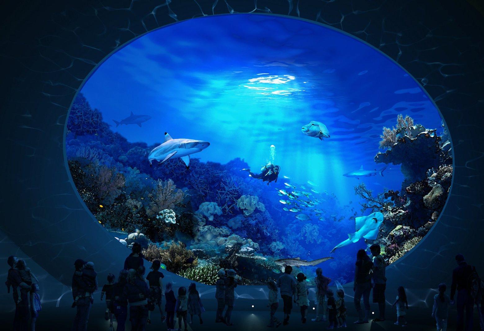 Sharks, stingrays and different species of fish will help educate visitors about human and climate-related threats in the South Pacific / LMN Architects
