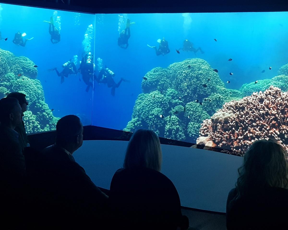 Holovis will add new dimensions to Discovery's existing attractions, as well as create new immersive experiences Holovis will add new dimensions to Discovery's existing attractions, as well as create new immersive experiences