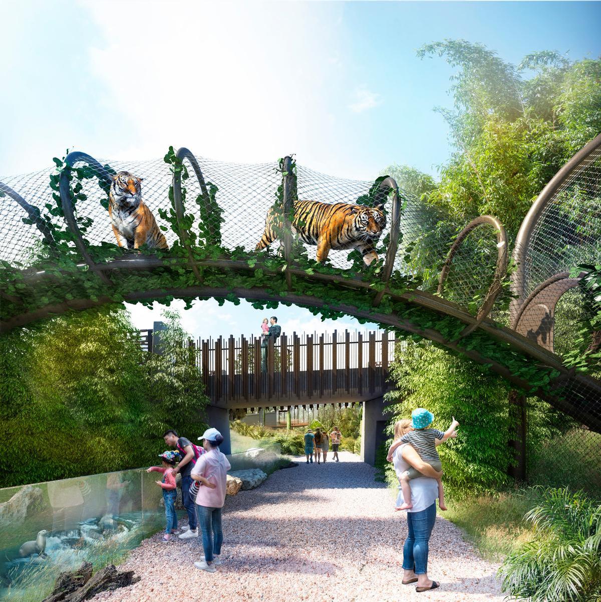 The new lowland habitat at Auckland Zoo will include elevated vantage points for tigers / Auckland Zoo