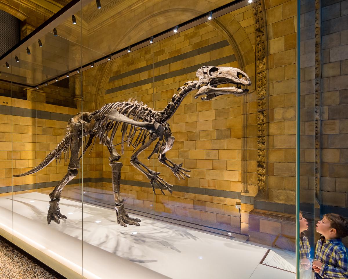 A new dinosaur gallery that will educate guests on biodiversity, extinction and climate change is planned A new dinosaur gallery that will educate guests on biodiversity, extinction and climate change is planned