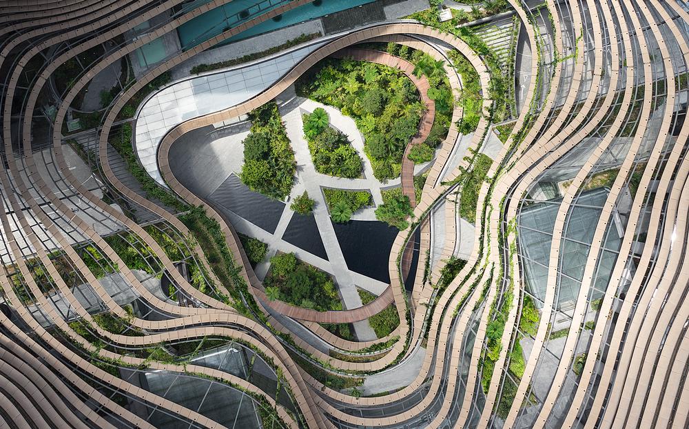 A winding ramp allows visitors and residents to ascend from ground level through rich vegetation