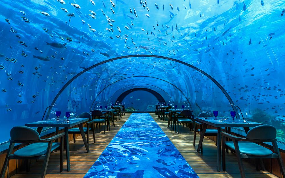 5.8 restaurant at the Hurawalhi resort in the Maldives features a simple arched design / Photo: Hurawalhi Maldives