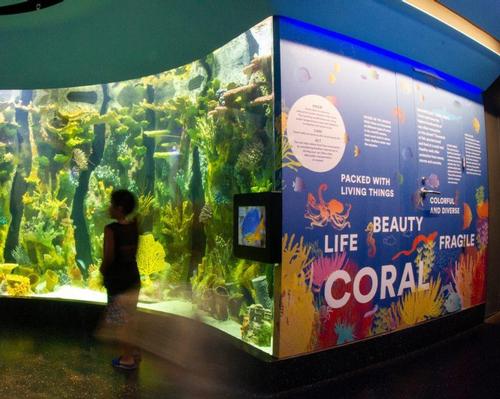 Staten Island Zoo reopens aquarium following US$9.2m renovation