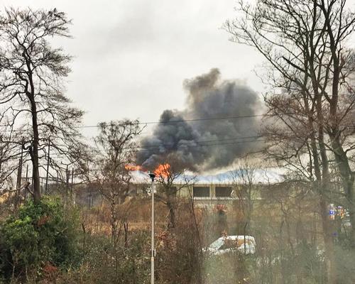 Fire-hit Chester Zoo begins fundraising after 'toughest day'