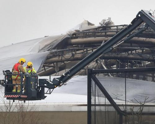 Money raised to support Chester Zoo following fire will be spent on conservation efforts