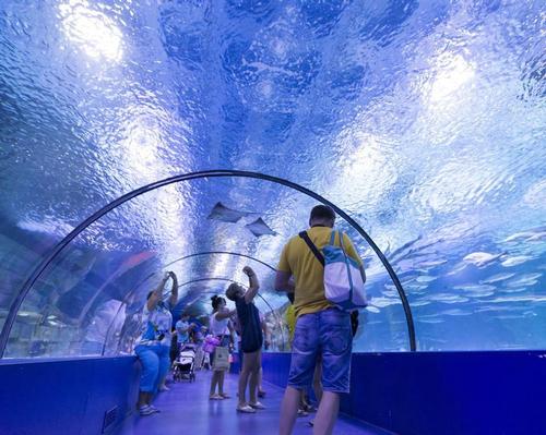Mississippi Aquarium on course to open Q4 2019