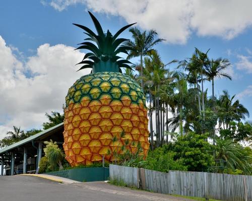 Sunshine Coast’s Big Pineapple undergoing AU$150m redevelopment