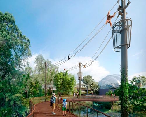 Aerial pathways for arboreal primates stretch between a series of 23m-high poles / Auckland Zoo