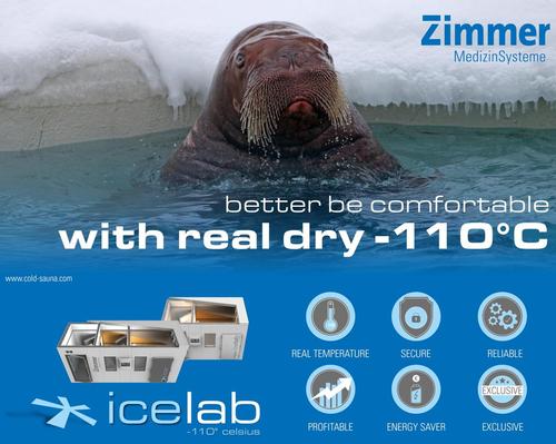 The Cold Sauna is Zimmer's most advanced cryo-chamber