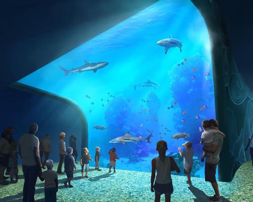 A shark and stingrays tank has J walls that curve over guests heads / St. Louis Aquarium / PGAV Destinations