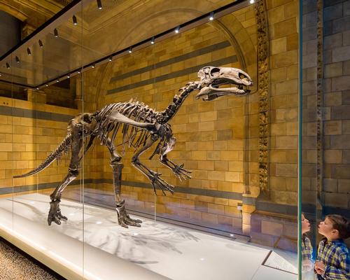 A new dinosaur gallery that will educate guests on biodiversity, extinction and climate change is planned