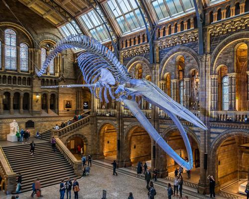 London's Natural History Museum announces new strategy to tackle climate change after declaring 'planetary emergency'