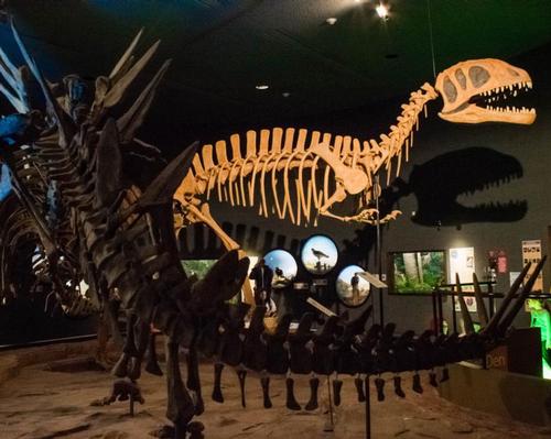 Delaware Museum of Natural History seeking US$9.8m for total revamp